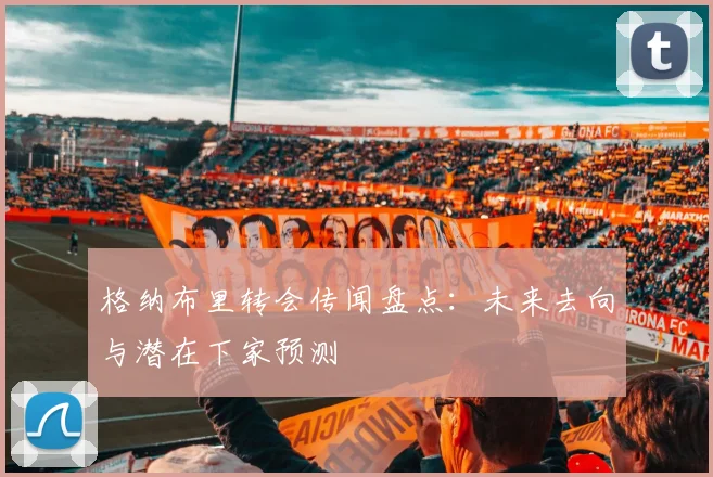 格纳布里转会传闻盘点：未来去向与潜在下家预测