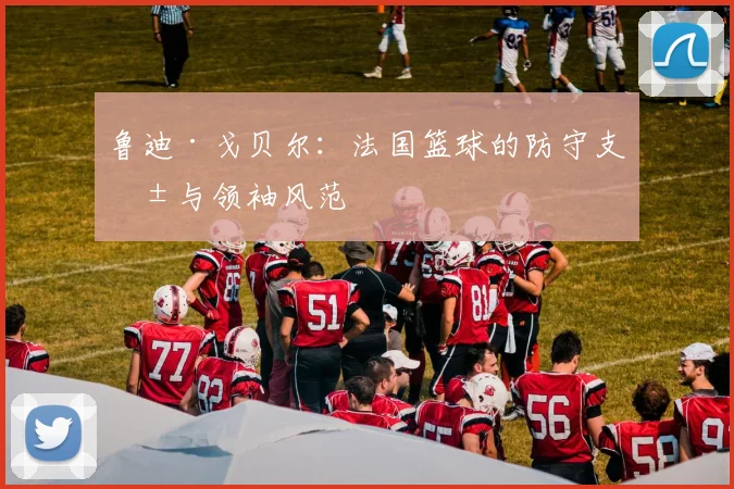 鲁迪·戈贝尔：法国篮球的防守支柱与领袖风范
