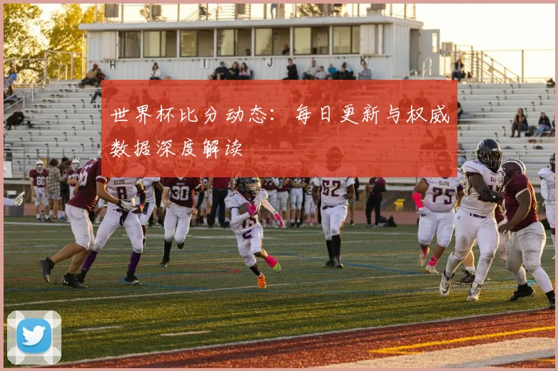 世界杯比分动态：每日更新与权威数据深度解读